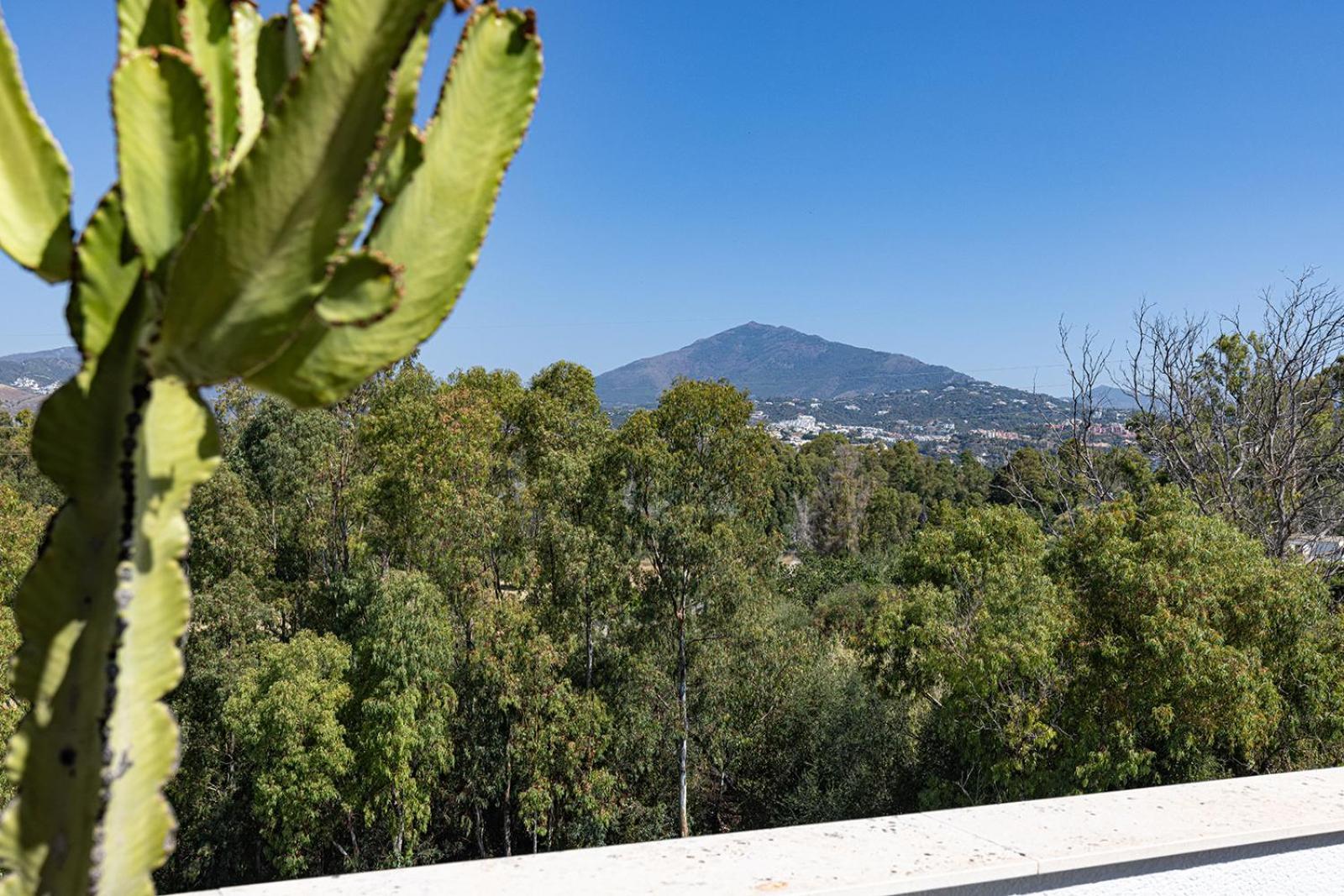 Bright Penthouse With Swimming Pool In Marbella Daire Dış mekan fotoğraf